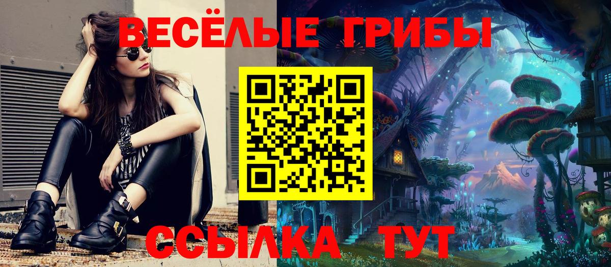 Галлюциногенные грибы мухоморы Кольчугино
